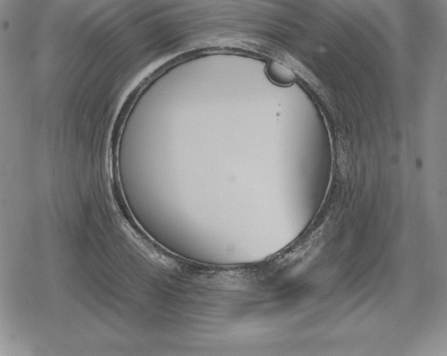 X0000080171028200612221245