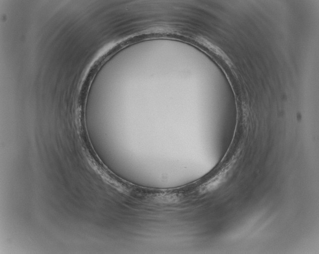 X0000080171029200612221245