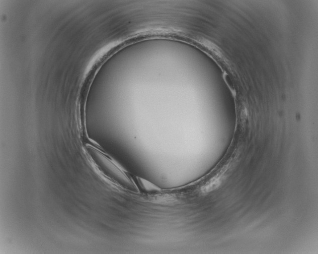 X0000080171030200612221246