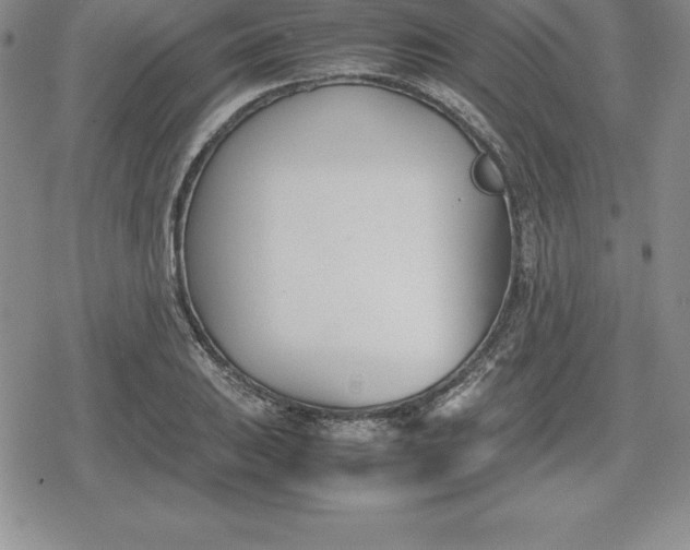 X0000080171031200612221246