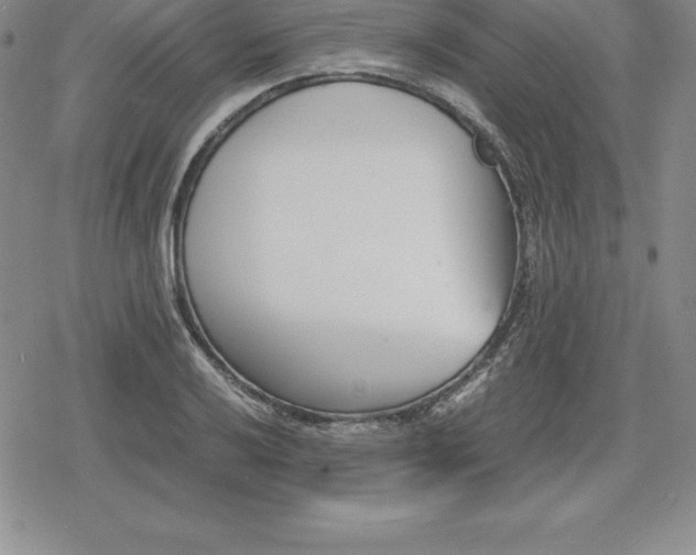 X0000080171032200612221246