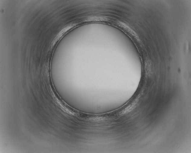 X0000080171033200612221246