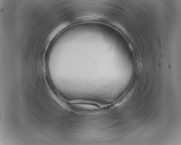 X0000080171034200612221246