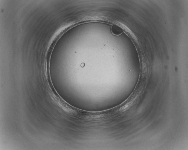 X0000080171035200612221246