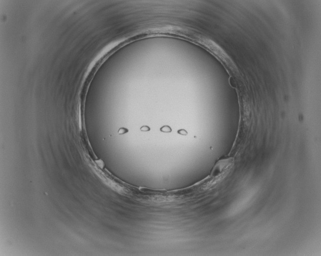 X0000080171036200612221246