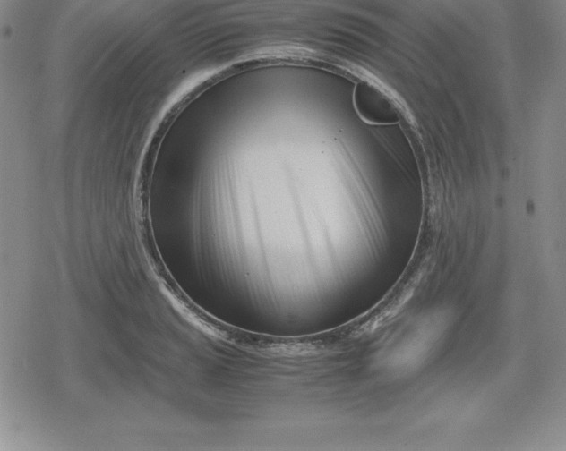 X0000080171037200612221246