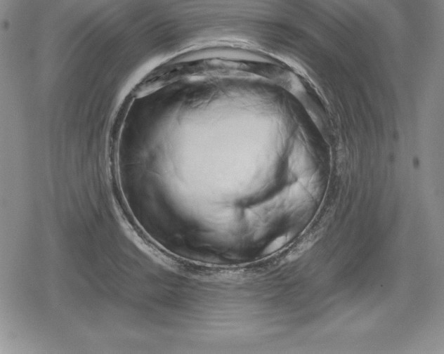 X0000080171038200612221246