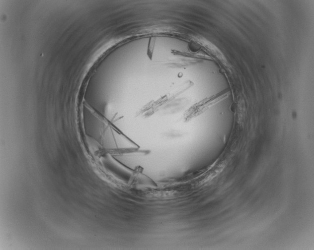 X0000080171039200612221246