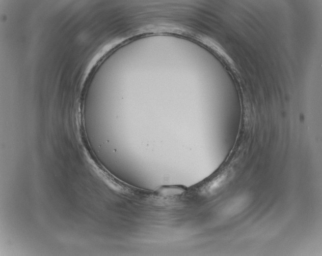 X0000080171040200612221246