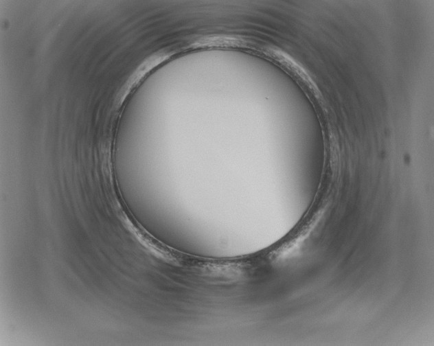 X0000080171041200612221246