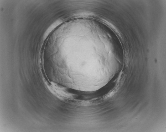 X0000080171042200612221246