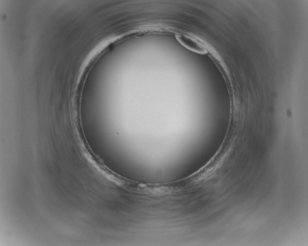 X0000080171045200612221246