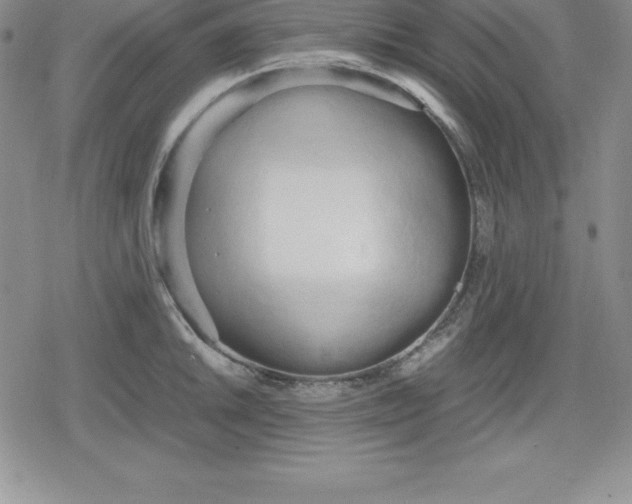 X0000080171046200612221246