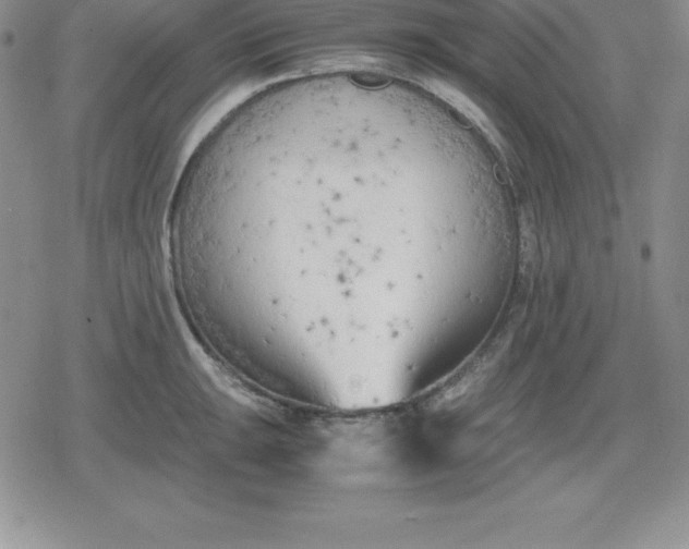 X0000080171047200612221246