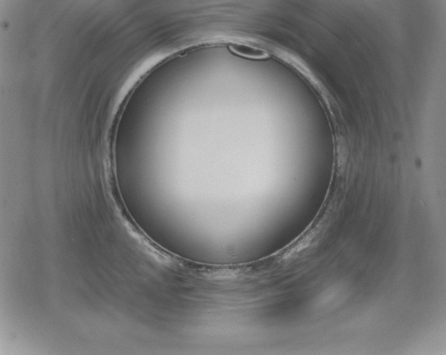 X0000080171048200612221246