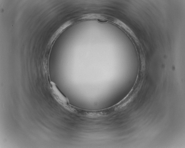 X0000080171049200612221246