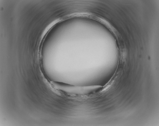 X0000080171050200612221246