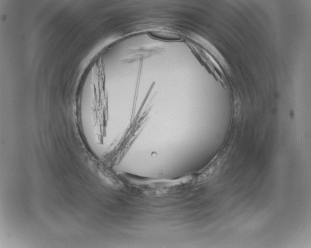 X0000080171051200612221246