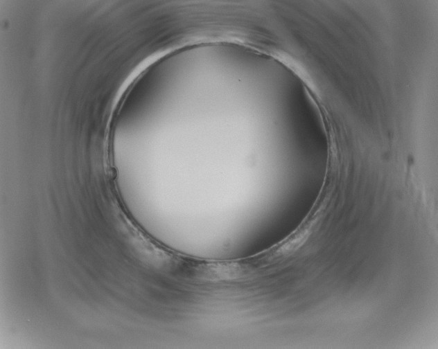 X0000080171052200612221246