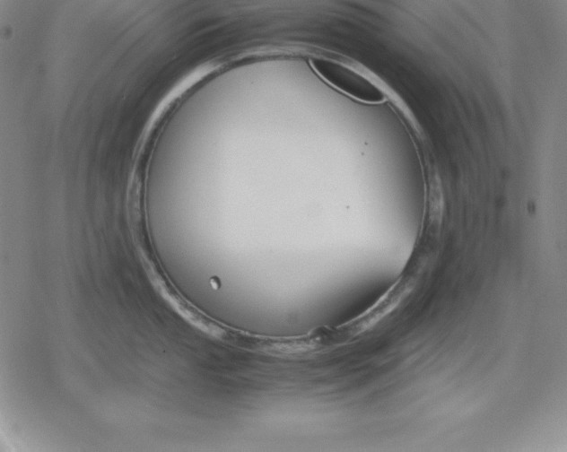 X0000080171053200612221246