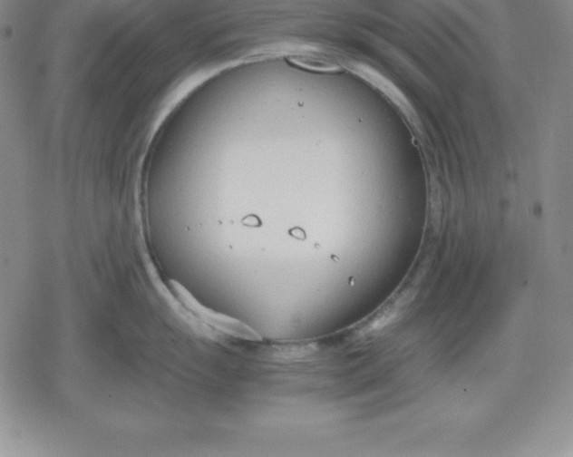 X0000080171055200612221246