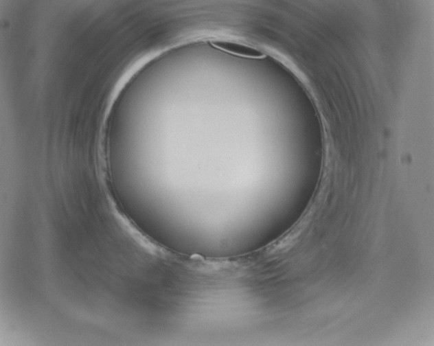 X0000080171056200612221246