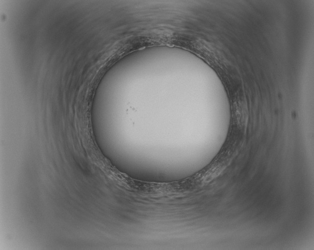 X0000080171057200612221245