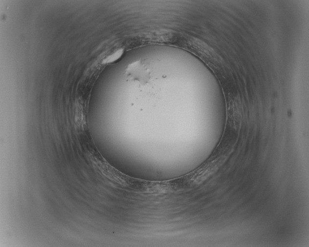 X0000080171058200612221245