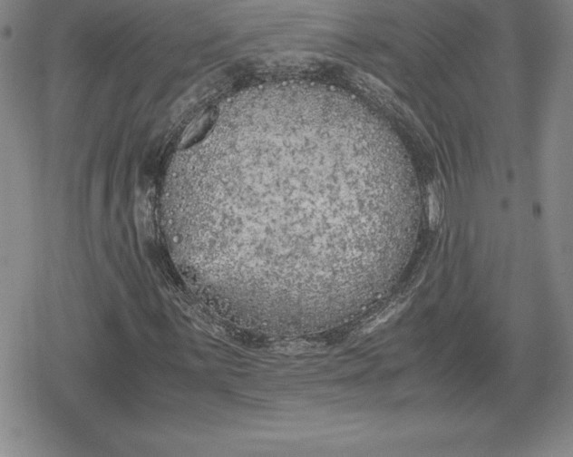 X0000080171059200612221245