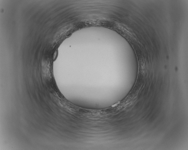 X0000080171060200612221245