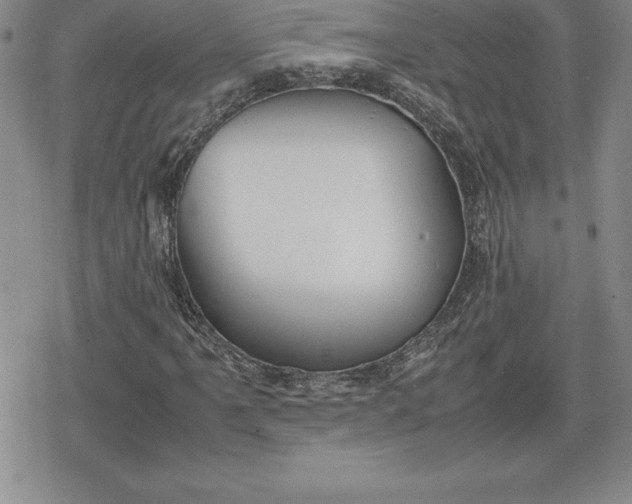 X0000080171061200612221245