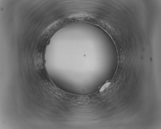 X0000080171062200612221245