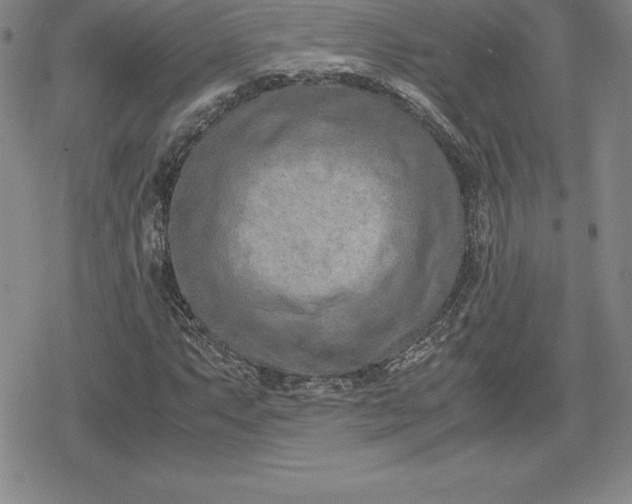 X0000080171063200612221245