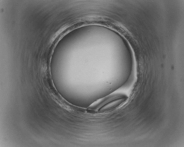 X0000080171065200612221245