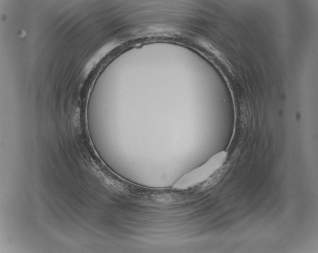 X0000080171066200612221245