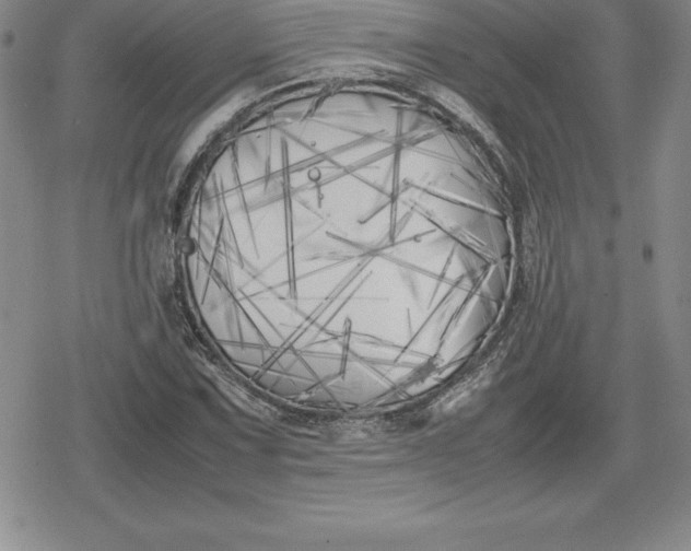 X0000080171067200612221245