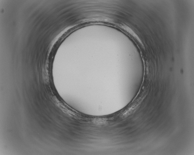 X0000080171068200612221245