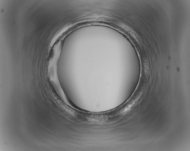 X0000080171069200612221245