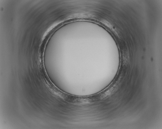 X0000080171070200612221245