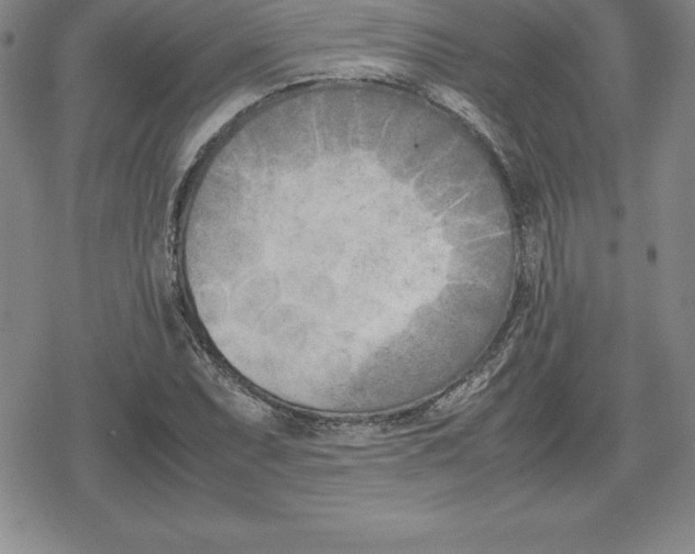 X0000080171071200612221245