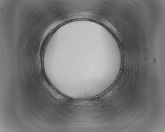 X0000080171072200612221245