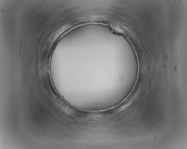 X0000080171073200612221245