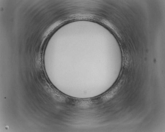 X0000080171074200612221245