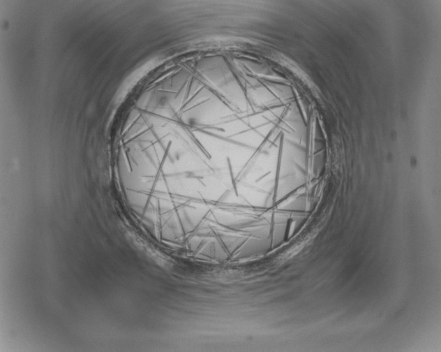 X0000080171075200612221245