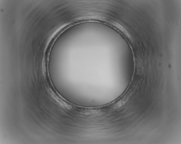 X0000080171076200612221245