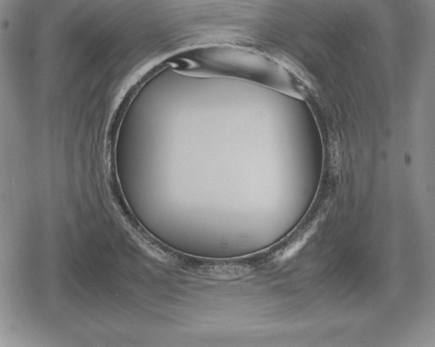 X0000080171077200612221245