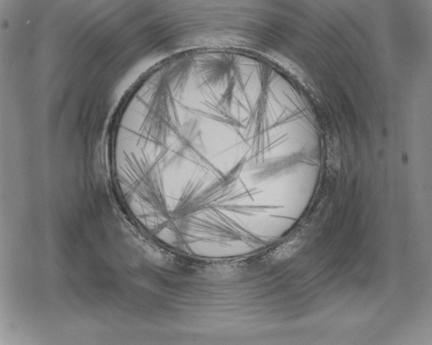 X0000080171078200612221245