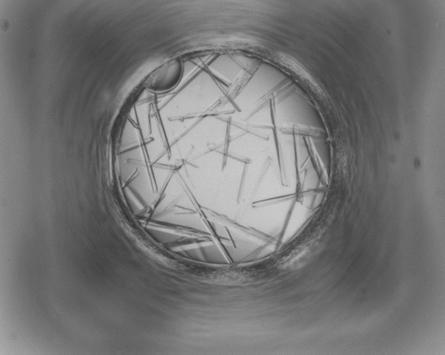 X0000080171079200612221245