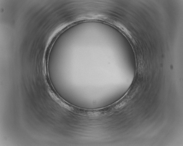 X0000080171080200612221245