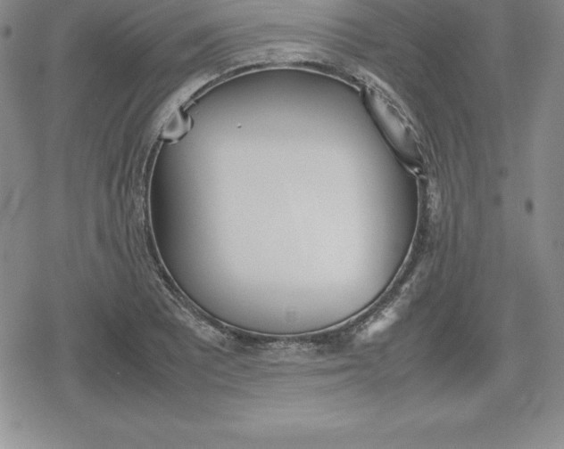 X0000080171081200612221245